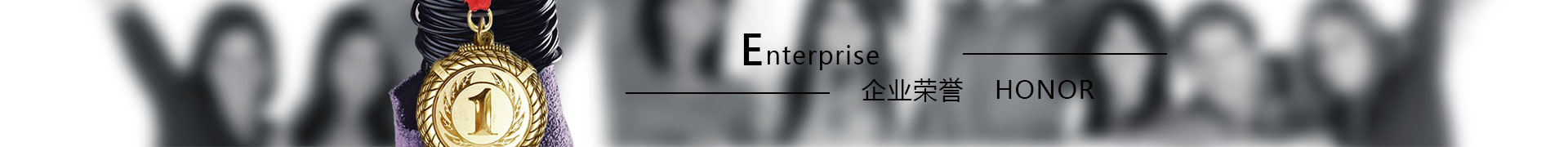 企業(yè)榮譽(yù)